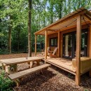 Buxus tiny home fits perfectly into a clearing in the woods