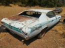 Chevrolet Chevelle found on a property