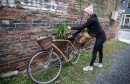 Pardee Wooden Bike