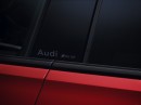 2025 Audi RS Q8