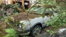car graveyard hidden from civilization