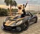 Supercar Blondie is highest earning carfluencer, makes $1,406,440 a year