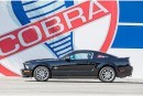24 cars from Shelby's collection to be sold in June