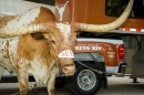Chevrolet Silverado Texas Longhorns