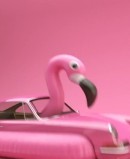 Chris Labrooy's Jumping Flamingo Porsche 911