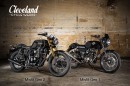 Cleveland CycleWerks Misfit I and II