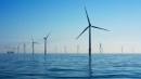 By 2040 there will be one million hectares of offshore wind turbines
