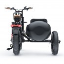 Coswheel CT20 with Sidecar Accessory