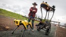 Creepy Boston Dynamics Robot Dog Pulls Adam Savage's Rickshaw