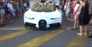 Cringefest: Bugatti Chiron and Veyron Scarping Their Noses