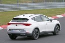 Cupra Formentor Prototype Testing With Audi RS3 Engine at the Nurburgring?