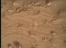 NASA Curiosity rover spots tiny flower-like structure on Mars
