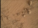 NASA Curiosity rover spots tiny flower-like structure on Mars