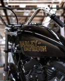 Custom Harley-Davidson Sportster Iron 1200