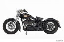 Custom Harley-Davidson Springer Softail