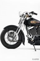 Custom Harley-Davidson Springer Softail