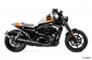 Custom Harley-Davidson Street 500