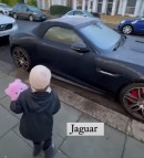Two-Year-Old Girl and Cars