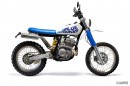 Yamaha TT-R250 Blue Thunder