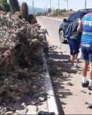 Cyclist's ride ends in a cactus bush, goes viral