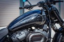 Dark Harley-Davidson Breakout Black Panther