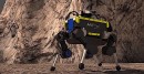 CERBERUS robots won DARPA's Subterranean Challenge