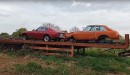 classic cars abandoned on a field