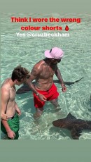 David Beckham's Swimming With Nurse Sharks