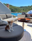 Demi Moore's dog while vacationing