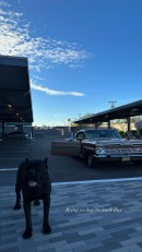 Devin Booker's Dog Haven and His 1959 Chevrolet Impala Convertible