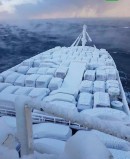 A ship carrying Japanese cars arrived in Vladivostok with its precious cargo covered in a thick layer of ice