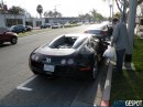 Dog in Bugatti Veyron