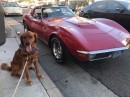 Scout with a 1970 Corvette Stingray 454