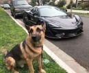 Chico with a McLaren 570S