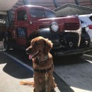 Scout with a 1947 Dodge truck