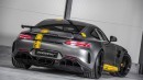 Domanig GTR Mercedes-AMG GT R tuning