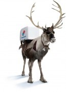 Reindeer carrying Domino's delivery box