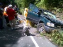 Driver and His Dog Covered in Paint after Crash