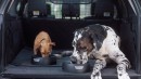 Land Rover offers UK drivers a 5-star Pet Pack with pet accessories