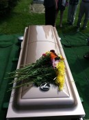 Custom Lexus Coffin