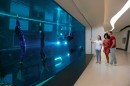 Deep Dive Dubai is recognized by Guinness as the world's deepest pool, comes with an eerie but awesome car garage