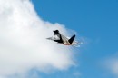 F-22 Raptor taking off from Hawaii