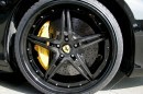 Ferrari 458 Black Carbon Edition