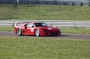 Ferrari and Pirelli Drop Tires for F40, F50, and Enzo Supercars