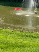 Ferrari 488 GTB in a pond after brake failure
