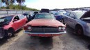 Florida-decomposed Ford Thunderbird of 1966