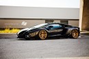 Black and Gold Aventador