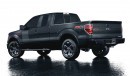 Ford F-150 FX