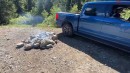 Ford F-150 Lightning up Mountain Trails on TFLoffroad
