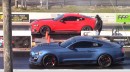 Ford Mustang Shelby GT500 vs. Mustang Mach 1